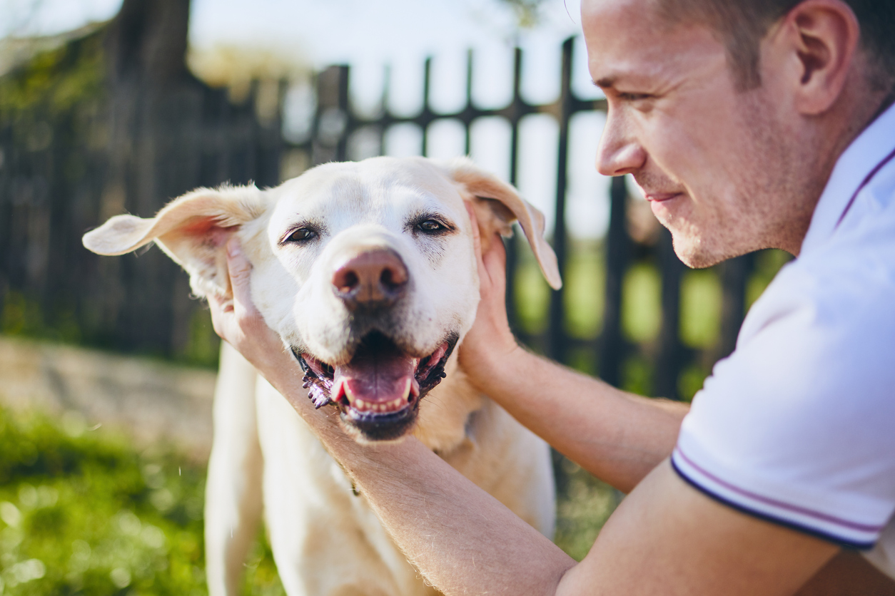 community, dog park, charles at bexley