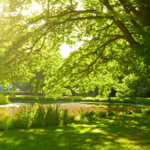 metro parks, charles at bexley, columbus